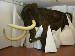 |
  Museo Civico Di Storia Naturale "Silvia Zenari"