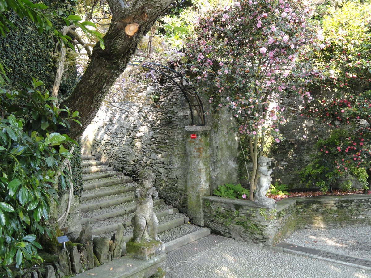 Botanical garden with vibrant flowers and lush greenery on Isola Madre in Lake Maggiore, Italy