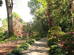 Botanical garden on Isola Madre in Stresa, Lake Maggiore, Italy