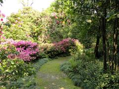 Botanical garden on Isola Madre in Stresa overlooking Lake Maggiore with lush greenery and colorful flowers