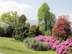 Botanical garden on Isola Madre in Stresa, Lake Maggiore, Italy with lush greenery and vibrant flowers