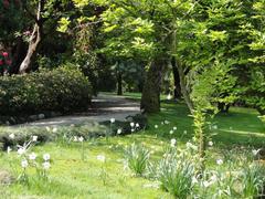 Botanical garden on Isola Madre with colorful flowers and greenery
