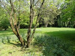 Botanical garden on Isola Madre with lush green plants and colorful flowers, Lake Maggiore Italy
