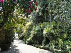 Botanical garden on Isola Madre with colorful flowers and trees by Lake Maggiore in Italy