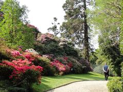 Botanical garden on Isola Madre in Stresa with lake and greenery