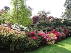 Botanical garden with colorful flowers and lush greenery on Isola Madre, Lake Maggiore, Italy