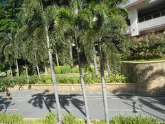 Greenbelt Park and Ayala Center landmarks in Makati Central Business District with Santo Niño de Paz Chapel and organic garden with basil and tarragon plants