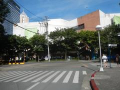 Panoramic view of Makati Central Business District featuring The Residences at Greenbelt, Ayala Land developments, and Greenbelt Park in Manila Philippines