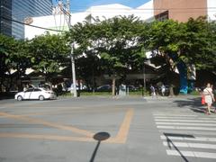 Aerial view of Makati Central Business District with landmarks including The Residences at Greenbelt, Ayala Center, Paseo de Roxas, and Greenbelt Park