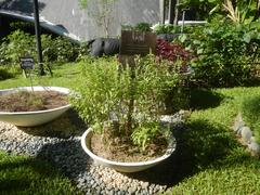 View of Ayala Center and Greenbelt landmarks with Santo Niño de Paz Chapel and organic herb garden in Makati Central Business District