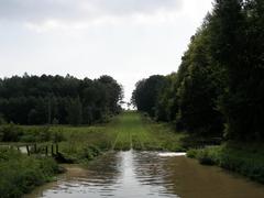 Elbląg Canal with boats and lush greenery in Poland