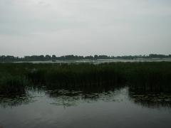 Elbląg Canal in Poland with boats on calm water and lush greenery on the banks