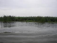 Elbląg Canal in Poland with boats and green trees along the banks