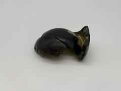 Dark olive green glass bottle fragment from the 19th century
