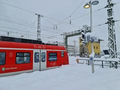 ET 423 075-1 train at München Pasing station during heavy snowfall emergency shuttle service