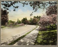 Arnold Arboretum entrance with trees and pathway