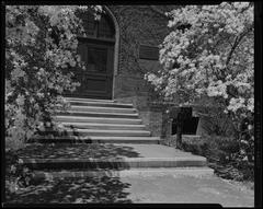 Arnold Arboretum landscape with trees and pathways