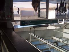 Exit of Vila Prudente Station with people walking and urban surroundings