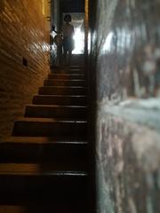 Interior view of the Ghirlandina Tower in Modena, showcasing its architectural details.