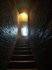 Interior view of the Ghirlandina Tower in Modena with intricate architectural details