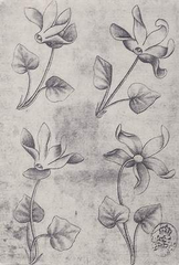 Artistic illustration of flowers with detailed and colorful patterns on playing cards