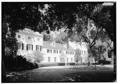 Strawberry Mansion