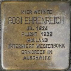 Stolperstein Dedicated To Rosi Ehrenreich