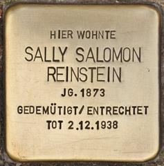 Stolperstein Dedicated To Sally Salomon Reinstein