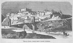 View of Toledo city taken from Alcántara Bridge, Spain