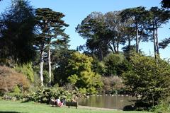 General view of the San Francisco Botanical Garden with diverse trees and plants in San Francisco California
