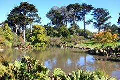 General view of San Francisco Botanical Garden with diverse plants and wooden fences