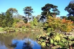 Panoramic view of San Francisco Botanical Garden with lush green trees and walking paths
