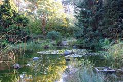General view of the San Francisco Botanical Garden with lush greenery and pathways