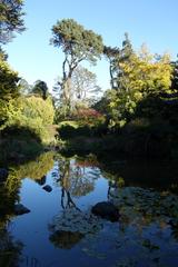 General view of San Francisco Botanical Garden with diverse plants and trees under blue sky