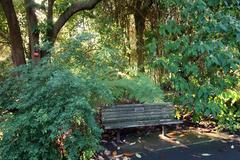 General view of San Francisco Botanical Garden with lush greenery and pathways