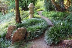 San Francisco Botanical Garden