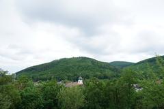 Scenic view of Georgenberg in Purkersdorf with forested landscape and clear sky