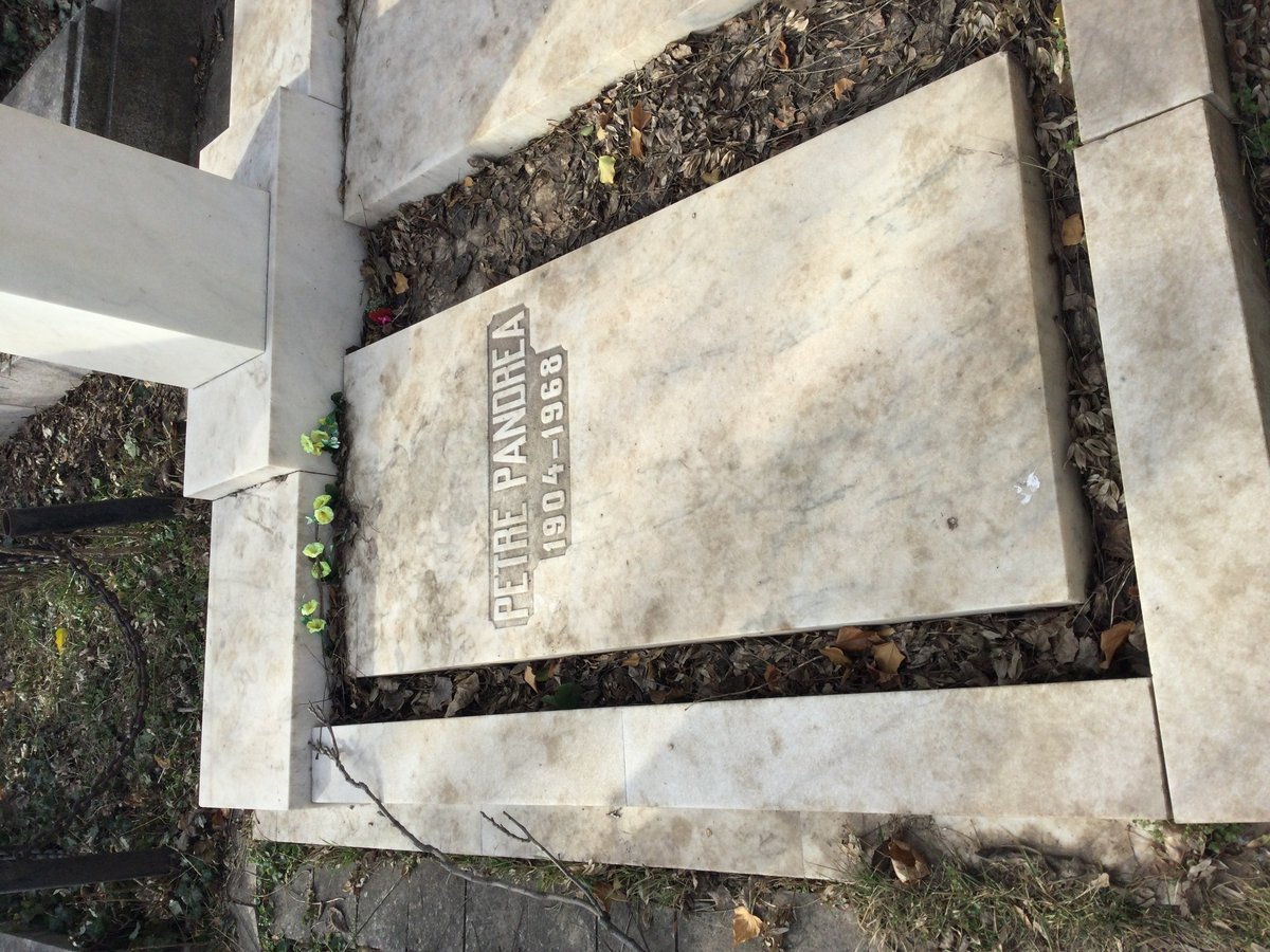 Grave of Petre Pandrea at Bellu Cemetery in Bucharest, Romania