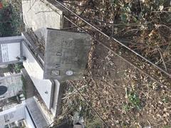 Grave of Mihai Davidoglu at Bellu Cemetery in Bucharest, Romania