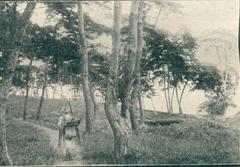 Hyochangwon/Hyochang Park during the Japanese colonial period with views of Bukhansan mountain, early trails, and the Han River, alongside a photo of Changdeokgung Cheomseongdae observatory in Seoul, 1913