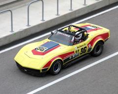 Vintage cars lined up at 2014 COTA event