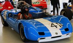 Vintage cars at 2014 COTA event lined up on grass under clear sky