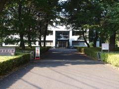 Japan College Of Social Work