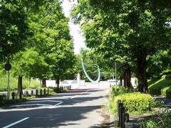 Street leading to the main entrance of Chiba New Town Campus, Tokyo Denki University in Inzai, Chiba Prefecture, Japan