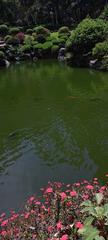 Scenic view of Los Colomos forest in the Japanese garden with lush green trees and a serene atmosphere