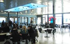 Universidad De Islandia - Escuela De Educación