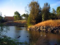 Halls of Residence at Monash University overlooking a serene lake