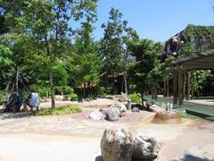 Scenic view of Imbiah Lookout in Sentosa with lush greenery and distant hills