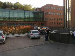 Foreigners University Of Siena