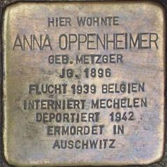 Stolperstein Dedicated To Anna Oppenheimer
